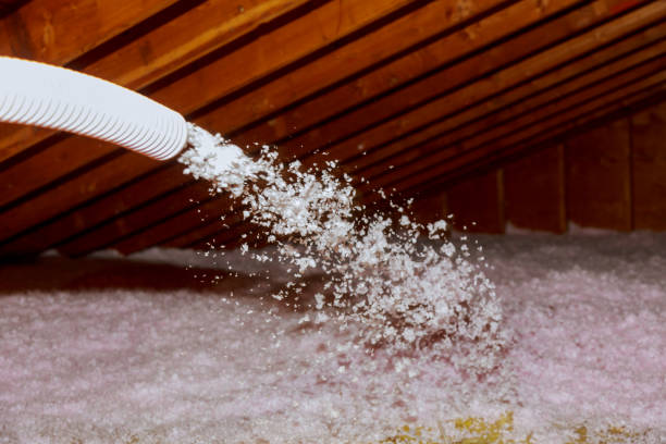 Best DIY Insulation Kits and Guidance in Tioga, ND