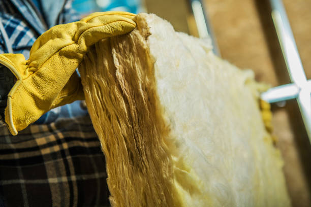 Best Eco-Friendly Insulation in Tioga, ND