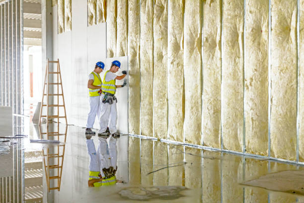 Best Cellulose Insulation in Tioga, ND